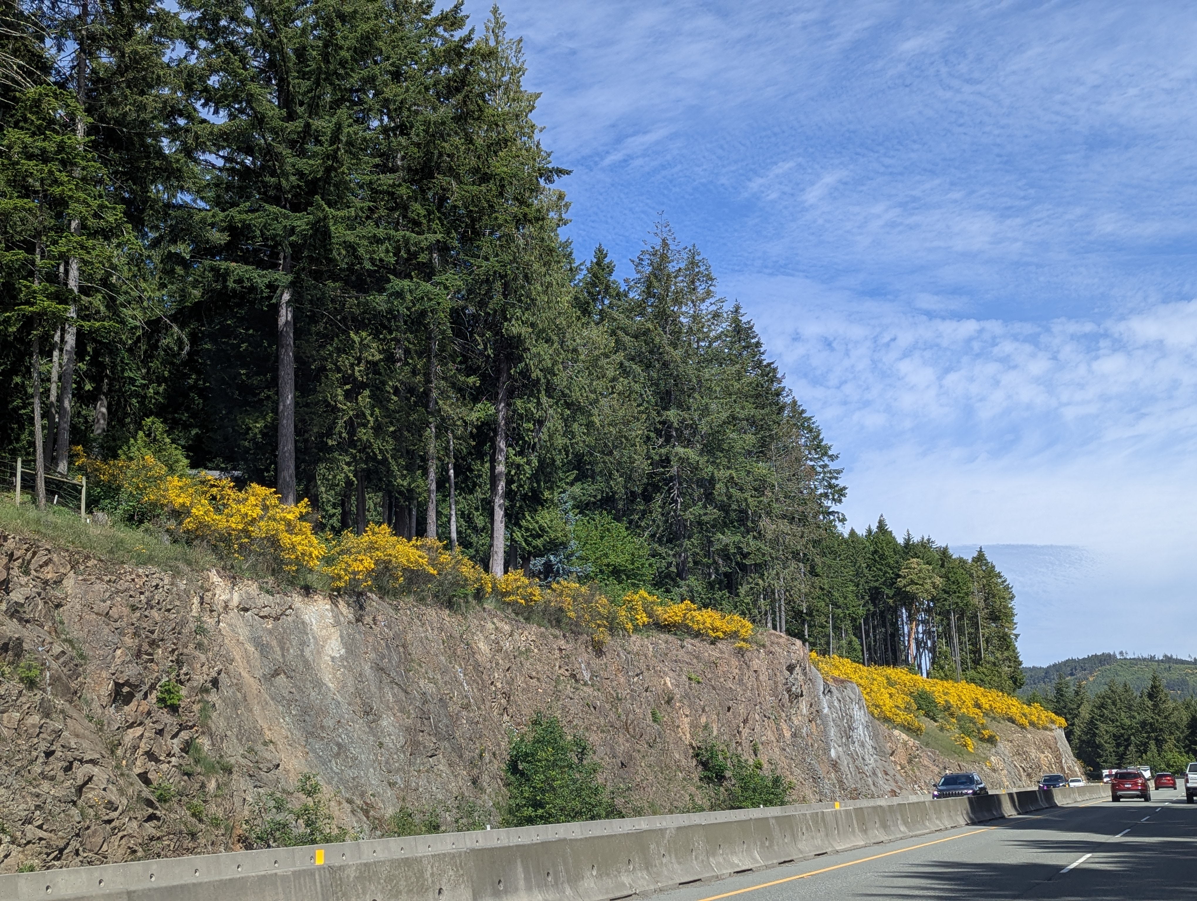 Birthday Trip to Canada, Vancouver Island